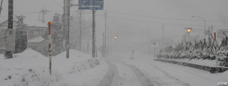 雪景色　雪道　道路 福井県の道路